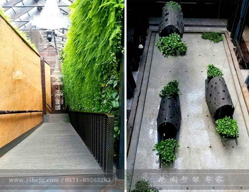外婆家水景设计｜景观绿化设计