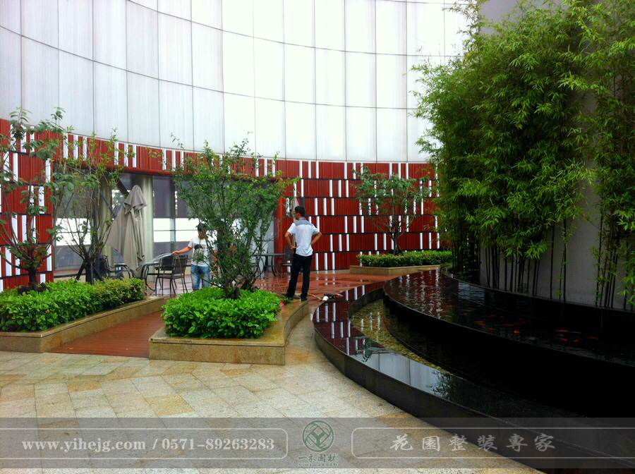 浙江省建设银行屋顶花园景观绿化｜屋顶花园景观设计｜屋顶花园景观施工